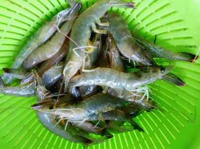 鲜虾，剥虾仁，可以放入冰箱速冻半小时以上再拿出来剥，比较好剥。