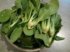  小青菜清洗干净控水，