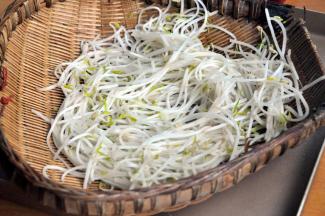 豆芽洗净烫熟，晾凉备用。