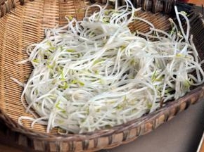 豆芽洗净烫熟，晾凉备用。