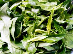 菠菜叶洗干净后，放开水焯一下，捞起再放入一盆冰水中