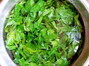 菠菜叶洗干净后，放开水焯一下，捞起再放入一盆冰水中