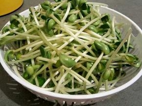 洗干净控水