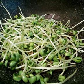 热锅凉油，炒香蒜泥，放黑豆芽，大火翻炒。