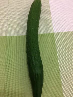 黄瓜一根