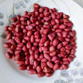 首先将花生米挑选一遍，有品相不好的挑出，再清洗干净，放在过滤网上自然晾干备用