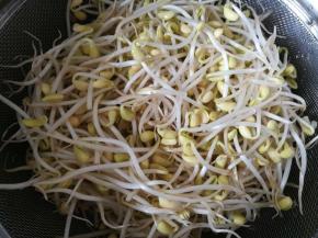 黄豆芽清洗干净。