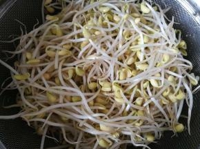 黄豆芽清洗干净。
