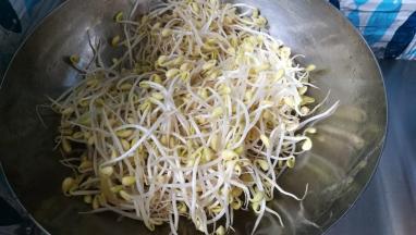 倒入黄豆芽翻炒。