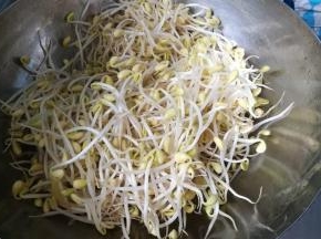 倒入黄豆芽翻炒。