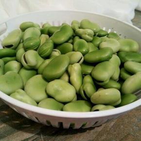 新鲜蚕豆，剥好，洗干净，控出水份（防止炸的时候溅油）