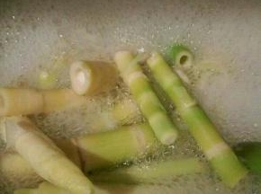 鲜笋也焯一下水