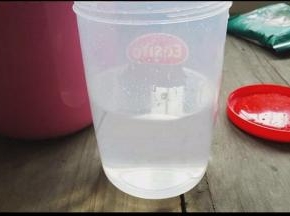 往酸奶发酵杯中倒入一半的纯净水