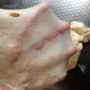 开启和面键揉至扩展阶段，出薄而坚韧的膜。