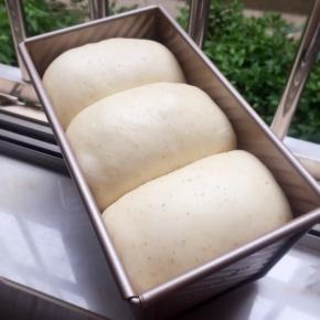 发至9分满，放入预热好的烤箱中150度40分钟。上色满意后加盖锡纸。（我的烤箱温度偏高一般160～180度烤，具体根本自家烤箱的温度来烤）