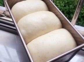 发至9分满，放入预热好的烤箱中150度40分钟。上色满意后加盖锡纸。（我的烤箱温度偏高一般160～180度烤，具体根本自家烤箱的温度来烤）