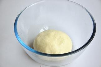 将揉好的面团放入烤箱中进行第一次发酵，在面团上盖一层保鲜膜，烤箱里放一碗温水，30度1小时。