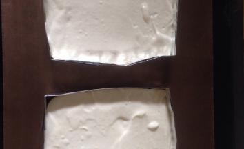 面糊均匀分子在两个6寸慕斯圈 没有圈 我用锡纸折了两个 有点走形 尴尬一下 170度 25分钟晾凉 脱模备用