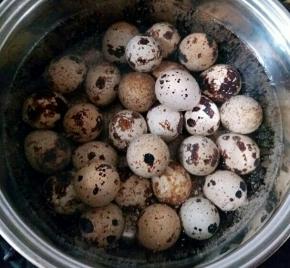 煮鹌鹑蛋。。水开后，再煮4分钟关火，用冷水泡着蛋，泡冷后都剥出来