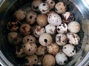煮鹌鹑蛋。。水开后，再煮4分钟关火，用冷水泡着蛋，泡冷后都剥出来