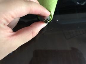 我用的八齿星花嘴，夹馅可以挤出花纹。也可以用圆形花嘴。