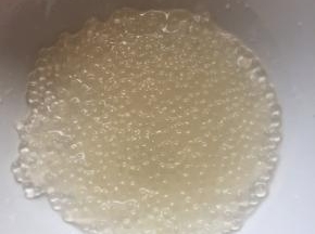 5:西米全部变成透明色了就是熟了。然后冲凉水后放碗中备用。（如果西米中奖有白心，说明没熟，可以再开火煮5分钟，闷5分钟，一般情况下，肯定会熟了）