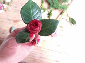 配上玫瑰叶，是不是变成了一朵小玫瑰