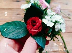 你能分清真花假花吗？