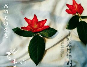草莓干被我玩出了花样！用五片草莓片就可以做出一朵很漂亮的平面花。。。有没有像刺绣？
