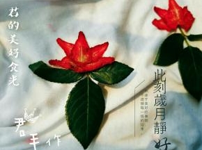 草莓干被我玩出了花样！用五片草莓片就可以做出一朵很漂亮的平面花。。。有没有像刺绣？