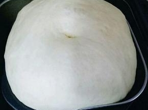 结束后面团发酵满桶，用手指摁一下，不回缩即为发酵完成。