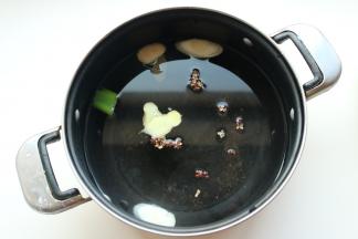 汤锅内加适量水，能淹没鸡就好，放入几片姜和一些葱段，几个花椒粒以及少许食盐。