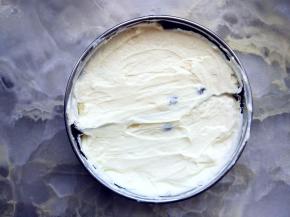 加入洗净的蓝莓拌匀，倒入垫锡纸铺好的模具里（我用的圆形筛子），抹平后入冰箱冷冻。也可以加入喜欢的草莓、树莓等水果