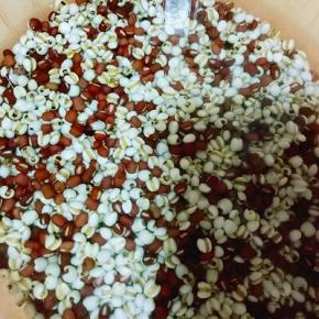 放在淘米器里淘干净。