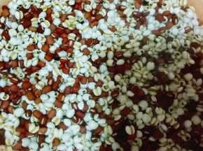 放在淘米器里淘干净。