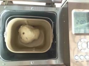 在和面结束前3分钟，加入已经提前浸泡过并沥干水分的蔓越莓干，面团和好后，在面包桶上面盖一块湿的毛巾，再盖上面包桶盖子。室温发酵50分钟左右，面团发酵两倍大。（室温高的时候可以不启动面包机的发酵功能）