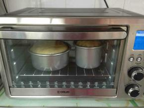 放入提前预热好170度的烤箱下层，烘烤35分钟左右，上色明显的话，可以加盖锡纸，防止颜色过深。（烘烤温度要根据你的烤箱脾气而定