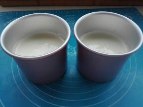 倒入模具中，震出大气泡