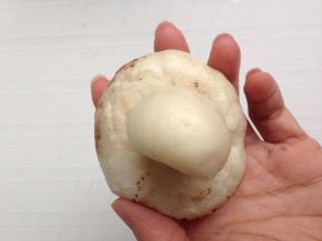 然后将蘑菇柄塞进去