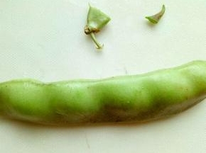 处理油豆，将两端掰掉，也就是头和尾，依次做完。