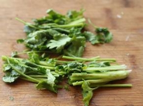 香菜也切段。