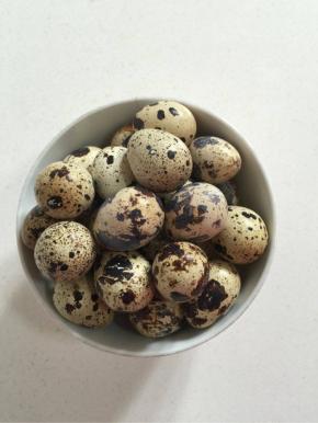 这就是我在菜市场买的新鲜的鹌鹑蛋！（如果买不到也可以用鸡蛋来代替鹌鹑蛋！）


