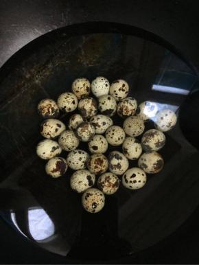 鹌鹑蛋冷水入锅，水开后煮5分钟左右即可！


