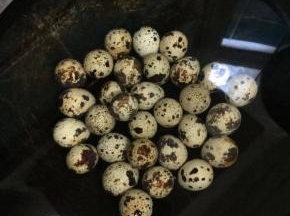 鹌鹑蛋冷水入锅，水开后煮5分钟左右即可！

