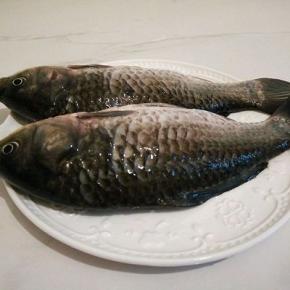  鲫鱼2条，洗干净