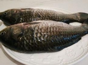  鲫鱼2条，洗干净