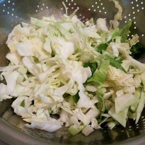  圆白菜洗干净切丝了