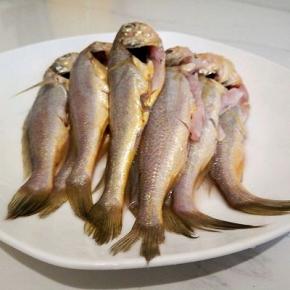  小梅鱼处理干净，