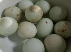  买来的鸭蛋，表面脏脏的，要用干净的刷子清洗一下