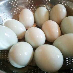 通风地方晾干鸭蛋表面水份，